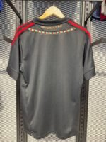 Ac Milan 2011/2012 - Figura 2