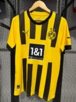 Dortmund Reus 11